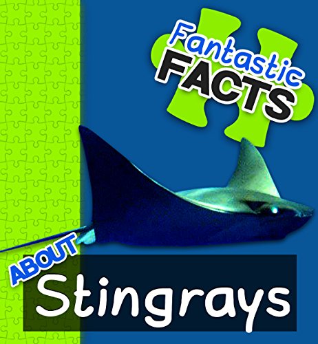 Fantastic Facts About Stingrays: Illustrated Fun Learning For Kids