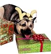 Dog Reindeer Antlers