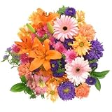 Bright an Light Bouquet by FalconFarms On Sale