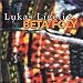 Lukas Ligeti & Beta Foly