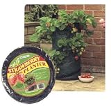Gardman 7510 Strawberry Pop Up Planter, Green