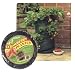 Gardman 7510 Strawberry Pop Up Planter, Green