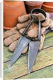 Canvas Prints of Garden shears from Science Photo Library