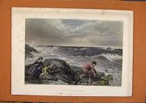 ANTIQUE PRINTS C1880-1924 HAND COLORED CATCHING MERMAID