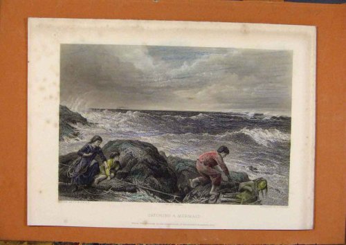 ANTIQUE PRINTS C1880-1924 HAND COLORED CATCHING MERMAID