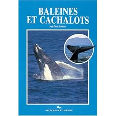 Baleines et cachalots