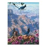  : Great American Puzzle Factory Grand Canyon 1000 Piece Jigsaw Puzzle