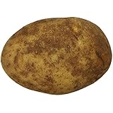 Russet Potato, One Large