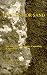 Book On Stone or Sand, The Ethics of Christianity, Capitalism, & Socialism