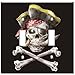Art Plates - Pirate Switch Plate - Double Toggle