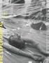 The Experimental Exercise of Freedom: Lygia Clark, Gego, Mathias Goeritz, Helio Oiticica, And Mira Schendel