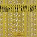 A Chorus Line