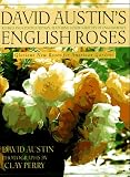 David Austins English Roses