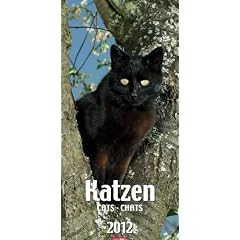 Katzen 2012