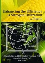 Enhancing the Efficiency of Nitrogen Utilization in Plants