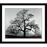 Ansel Adams Framed Art Print Oak Tree - Sunset City