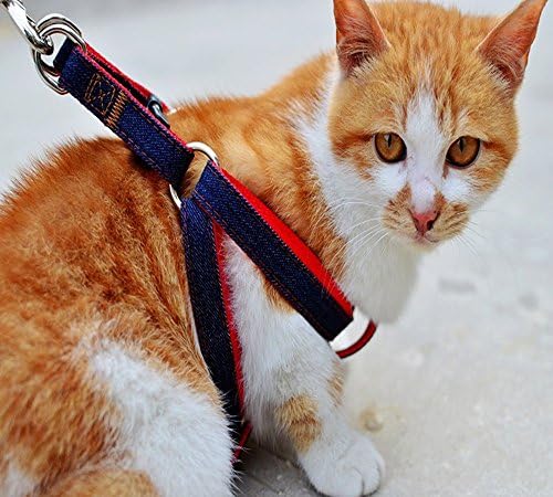 && Sassy Cat / Dog Chain Adjustable Cat / Dog Chain Pet Parade Tangle-free Cat / Dog Leash, Cat / Dog Adjustable Traction 1.2 M,