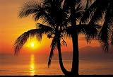 KOMAR PHOTOMURALS VOL. 9 NATIONAL GEOGRAPHIC Wallpaper -8-255 Wallpaper