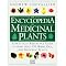 Essentials for Your Spiritual Journey