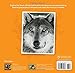 A Friend for Lakota: The Incredible True Story of a Wolf Who Braved Bullying (Baby Animal Tales)
