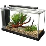 Fluval Spec V Aquarium Kit, 5-Gallon, Black
