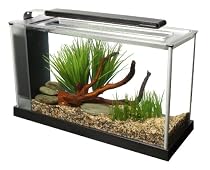 Fluval Spec V Aquarium Kit, 5-Gallon, Black
