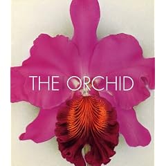 Orchids: From the Archives of the Royal Horticultural Society