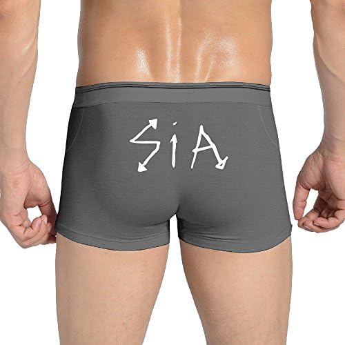 VYily Men's Elastic Sia North American Tour 2016 Signature Boxers Underwear Designed Ash L