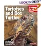 Tortoises and Box Turtles Complete Owner's Manual