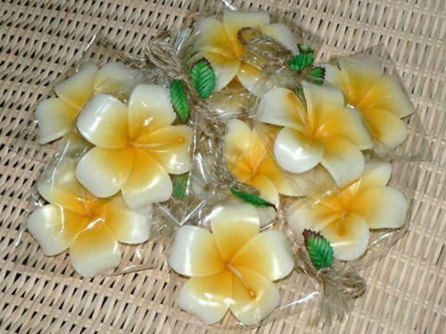 Floating Candles for Pool Asia SPA - 10 Signature Flower Frangipani Aromatherapy Relax Candle