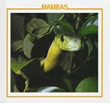 Mambas / Mambas (Amazing Snakes Discovery Library)
