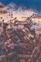 Band of Brothers: Company C, 9th Tennessee Infantry