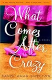 What Comes After Crazy: A Novel What Comes After Crazy: A Novel