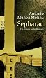 Sepharad: Ein Roman voller Romane