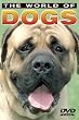 The World of Dogs: Basic Dog Training