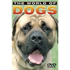 World of Dogs [DVD] [2005] [Region 1] [US Import] [NTSC]