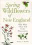 Spring Wildflowers of New England