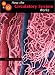 How the Circulatory System Works