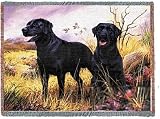 Black Lab Throw - 53 x 70 Blanket/Throw