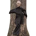 Peeping Tree Hugger