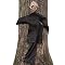 Peeping Tree Hugger