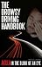 THE DROWSY DRIVING HANDBOOK - AKILLA IN THE BLINK OF AN EYE