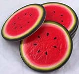 Watermelon Coaster Set