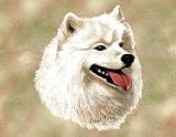 Samoyed Woven Lap Square (Throw Blanket)