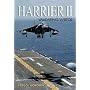 Harrier II: Validating V/stol