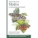 Field Guide to the Moths of Great Britain and Ireland