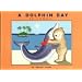 A Dolphin Day in Hawaii