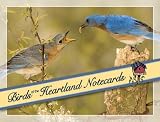 Birds of the Heartland Notecards