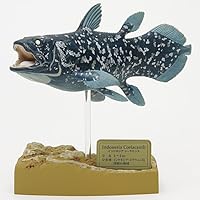立体図鑑ミュージアムモデル　インドネシアシーラカンス フィギュア