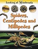 Spiders, centipedes and millipedes